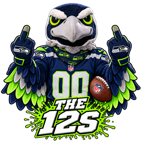 Seattle Seahawks Door Lights